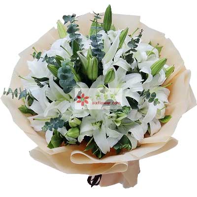 淄博9支白色多头百合，祝福你幸福